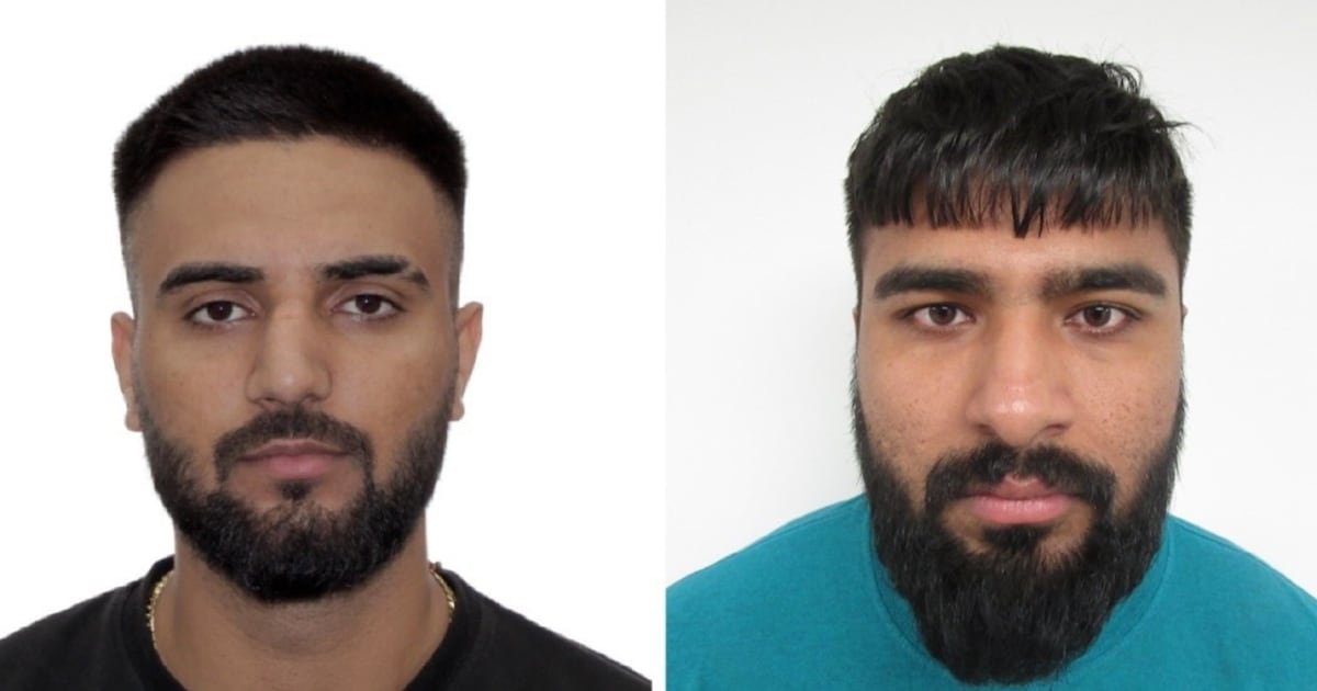 CBSA Deports 35 in Extortion Crackdown: Latest Update